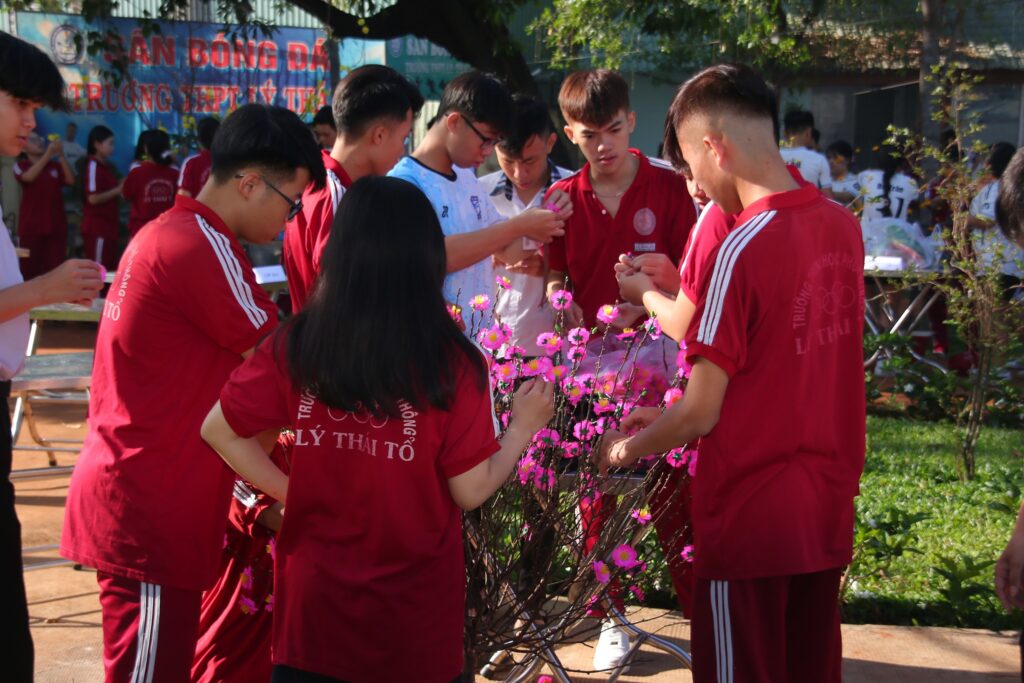 Trang trí hoa mai trong Hội Xuân Bính Ngọ 2026