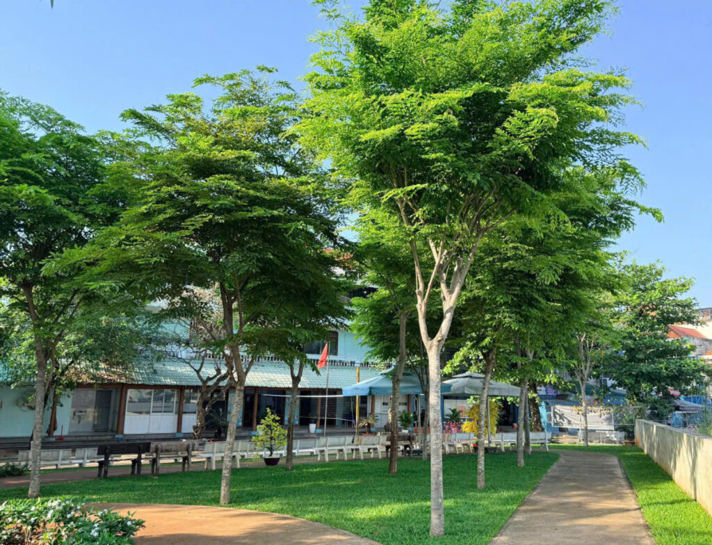 không gian xanh mát